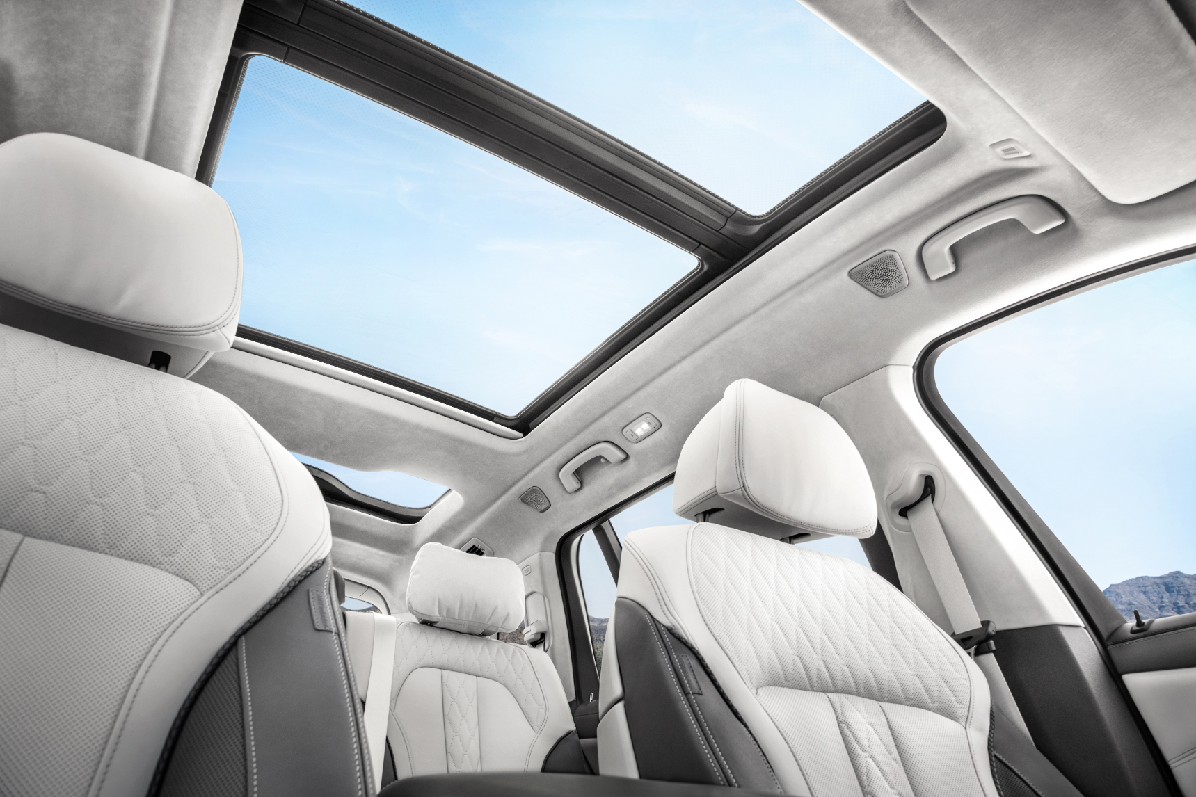 The BMW X7